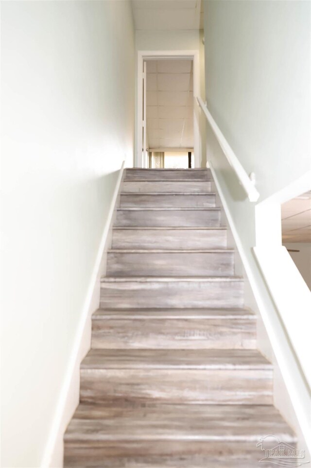 staircase featuring wood-type flooring