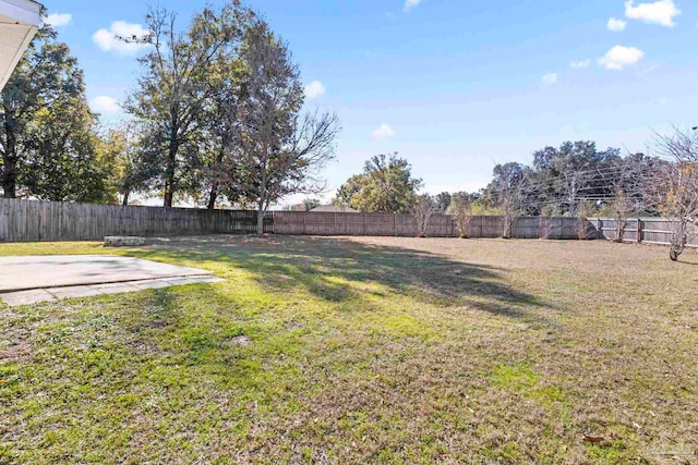 view of yard featuring a patio