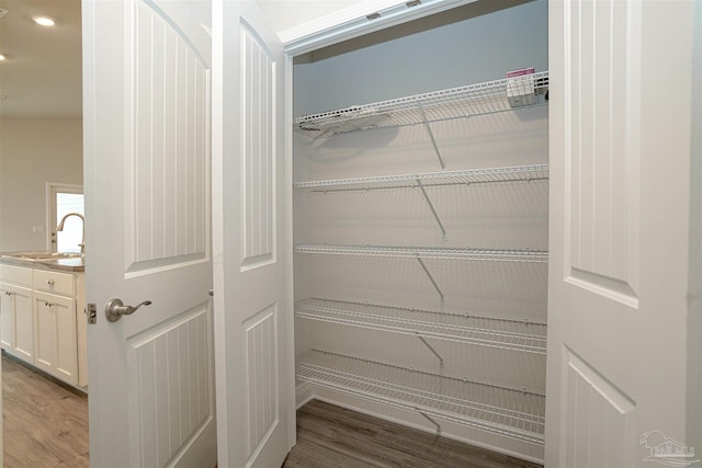 closet featuring sink