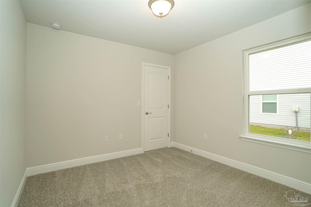 empty room with light colored carpet and a wealth of natural light