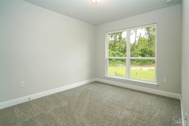 spare room featuring carpet floors