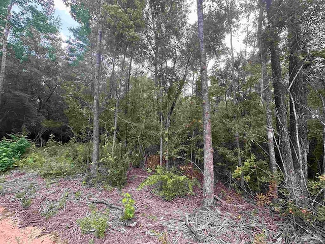 0000 Bailly Rd, Milton FL, 32583 land for sale