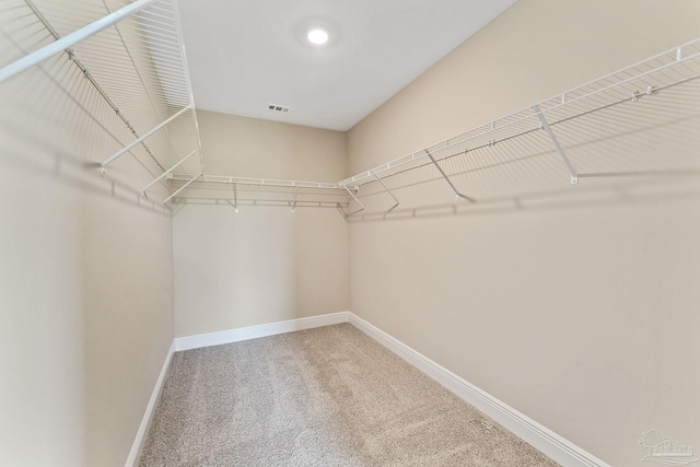 walk in closet with carpet