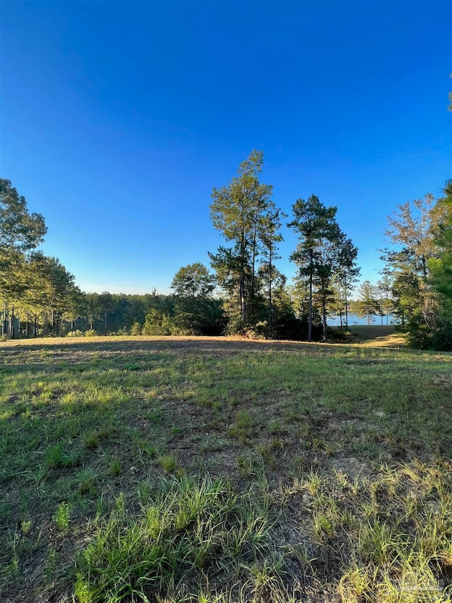 Lake Juniper Rd, Brewton AL, 36426 land for sale