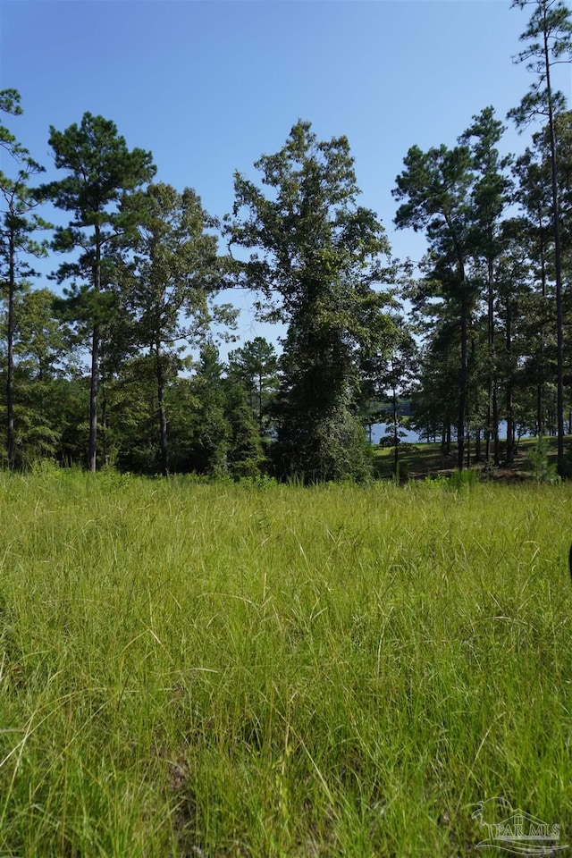 Listing photo 2 for Lake Juniper Rd, Brewton AL 36426