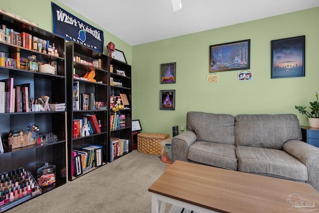 living area featuring carpet floors