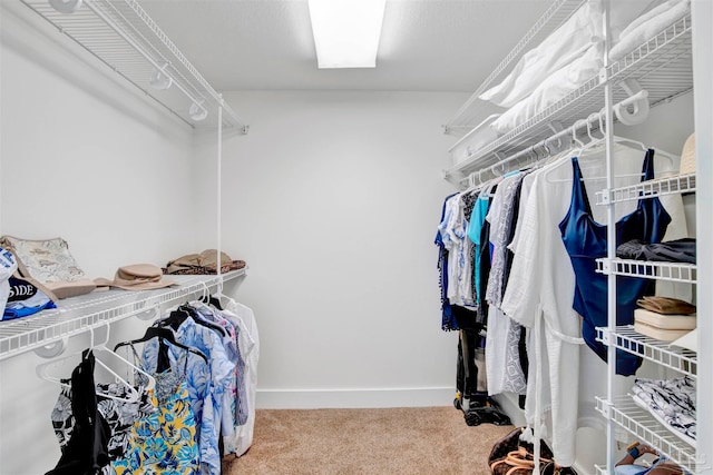 walk in closet with carpet floors