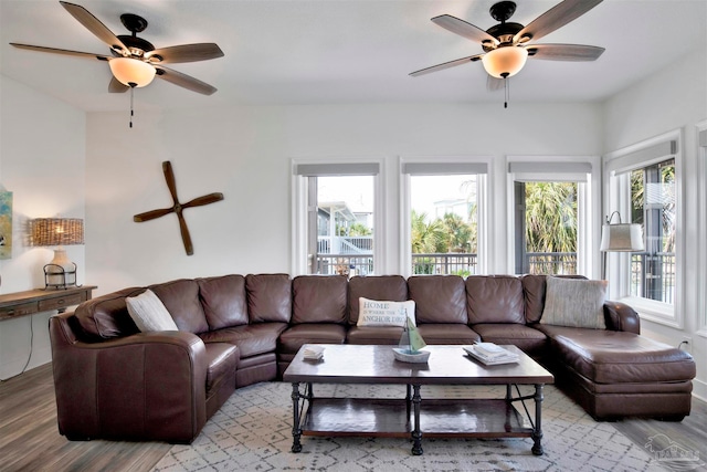 living room featuring ceiling fan and light hardwood / wood-style floors