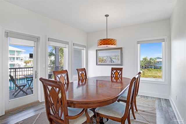 dining area featuring hardwood / wood-style flooring and a wealth of natural light