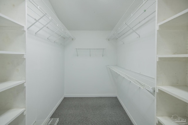 3221 Cobblestone Dr, Pace, FL 32571 - view of spacious closet