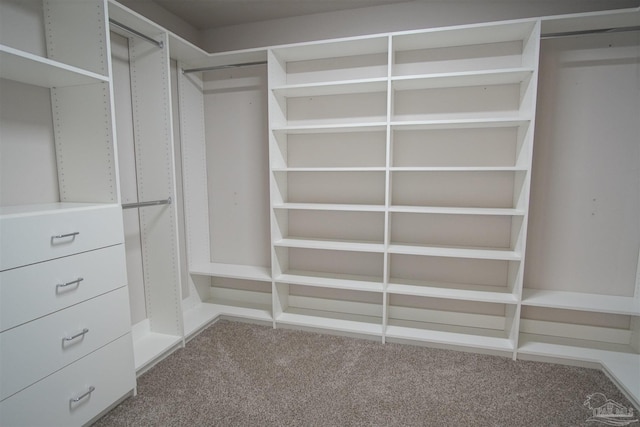 walk in closet with carpet