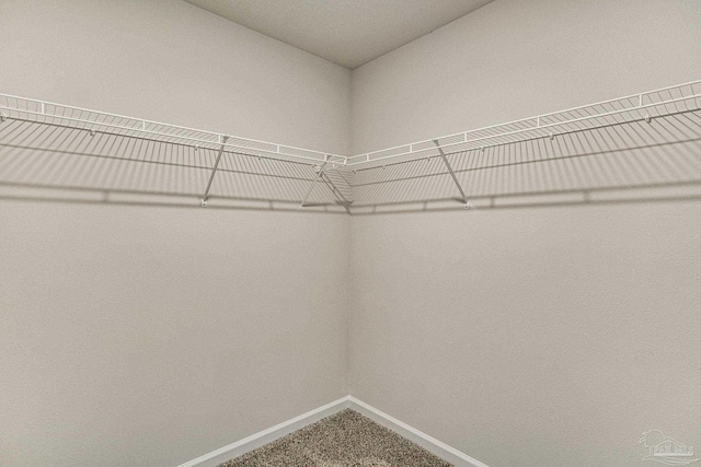 2766 Chevy Cir, Pace, FL 32571 - spacious closet featuring carpet flooring