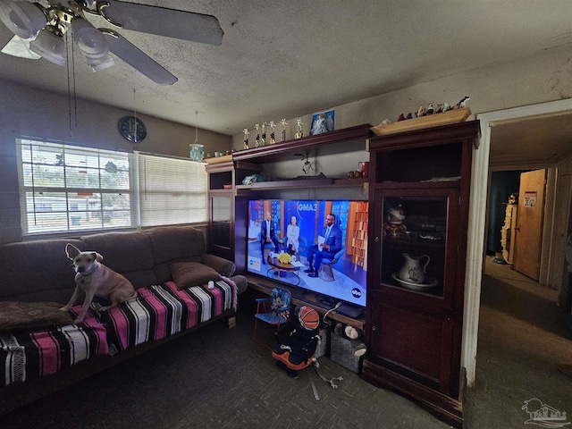 cinema room with a textured ceiling and ceiling fan