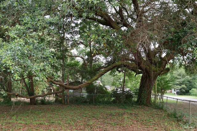 5197 Avenida Del Fuego, Pace, FL 32571 - view of yard