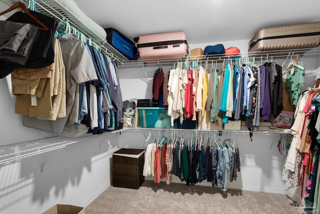 walk in closet featuring carpet floors