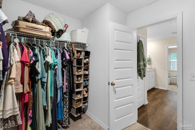 walk in closet featuring dark wood-style floors