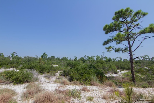 view of landscape