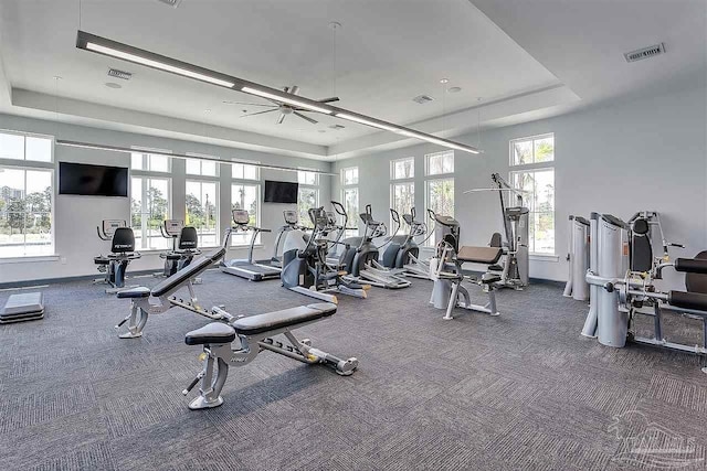 workout area featuring ceiling fan, a raised ceiling, and carpet flooring