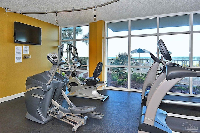 workout area featuring expansive windows, a textured ceiling, a wealth of natural light, and baseboards