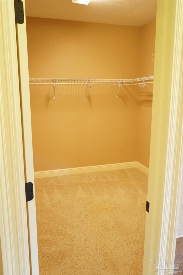 spacious closet with carpet