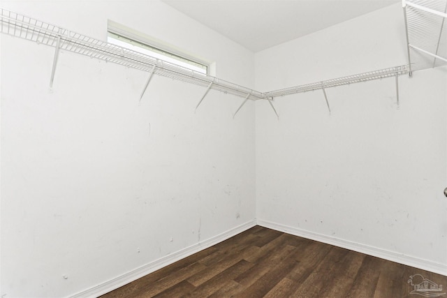 5397 Fawn Ridge Dr, Gulf Breeze, FL 32563 - walk in closet featuring wood finished floors