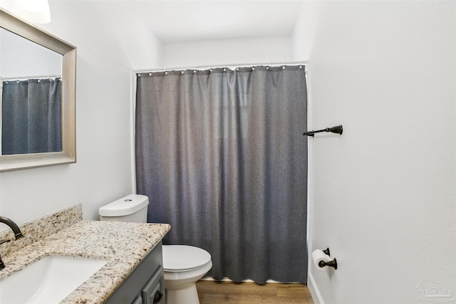 4248 Seaport Rd, Pace, FL 32571 - full bath with toilet, vanity, and wood finished floors