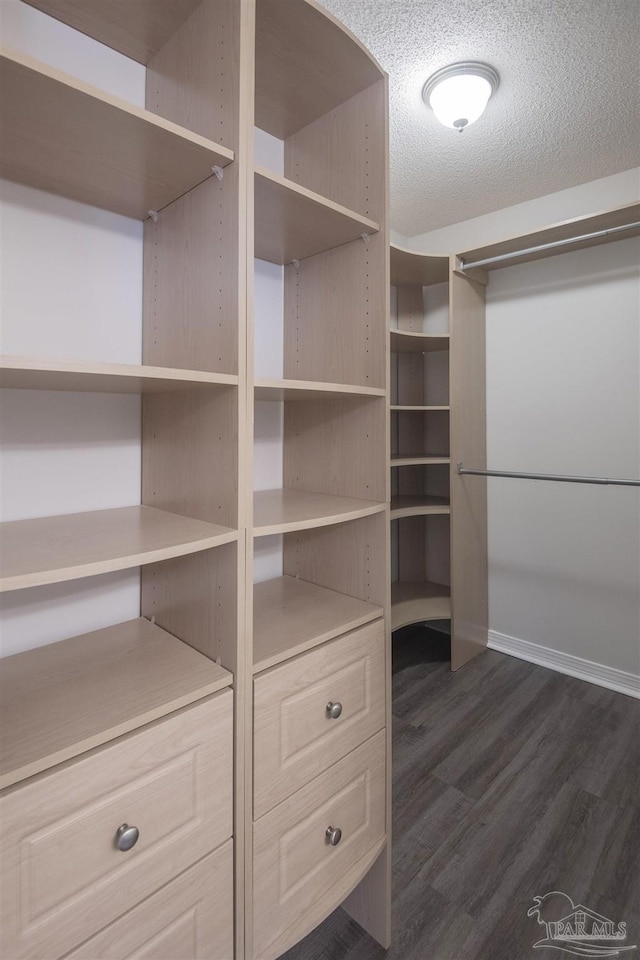 spacious closet featuring dark wood-type flooring