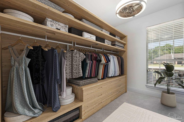6018 Autumn Pines Cir, Pace, FL 32571 - walk in closet featuring carpet flooring