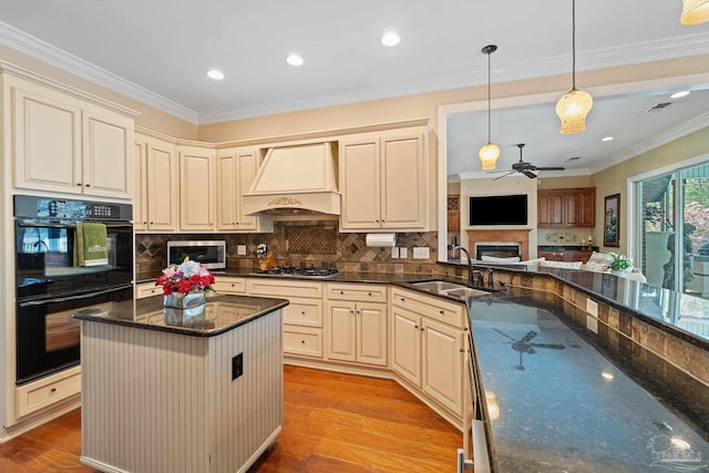 kitchen with appliances with stainless steel finishes, sink, premium range hood, light hardwood / wood-style floors, and a center island