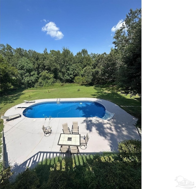 view of pool featuring a patio, a yard, and a diving board