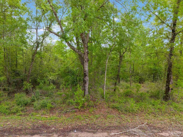LOT23 Mineral Springs Rd, Jay, FL 32565