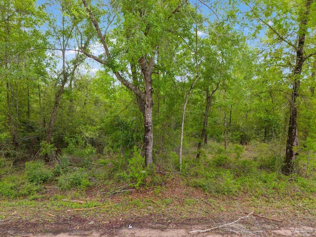 LOT23 Mineral Springs Rd, Jay FL, 32565 land for sale