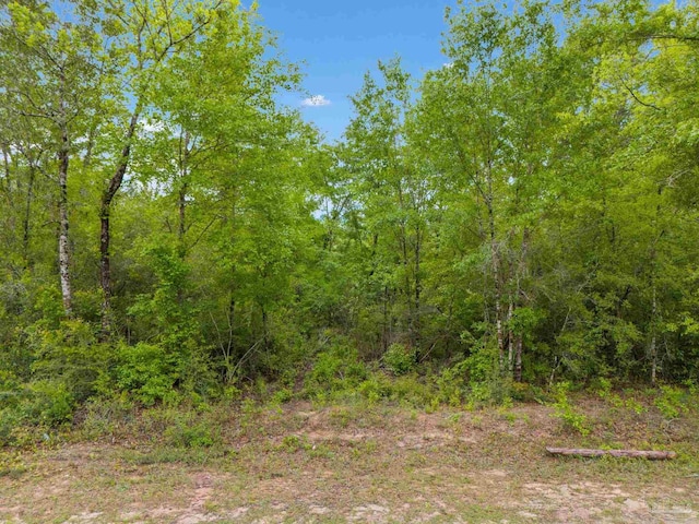 Listing photo 3 for LOT23 Mineral Springs Rd, Jay FL 32565