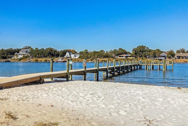 dock area with a water view