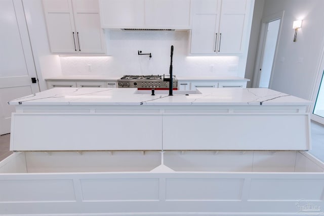 kitchen featuring white cabinetry, decorative backsplash, a kitchen island with sink, and light stone countertops