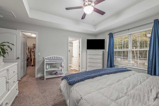 carpeted bedroom featuring ceiling fan, ensuite bathroom, a raised ceiling, a spacious closet, and a closet