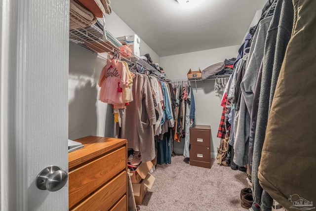 walk in closet with light carpet