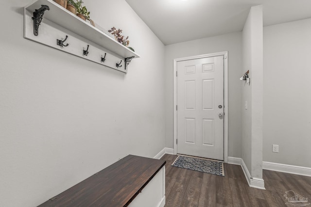 mudroom featuring dark wood-type flooring