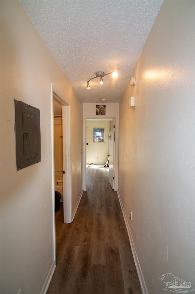 hall featuring electric panel, dark hardwood / wood-style flooring, and a textured ceiling