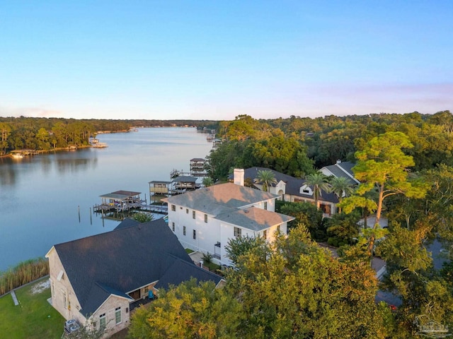3410 N 18th Ave, Pensacola, FL 32503 - drone / aerial view with a wooded view and a water view