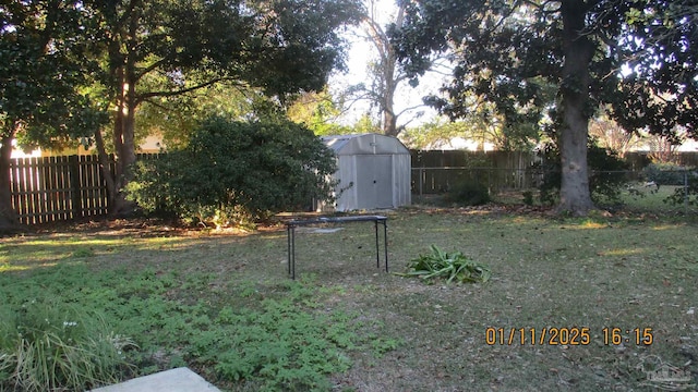 view of yard with a storage unit