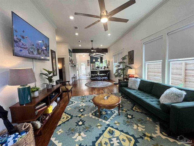 living room featuring ceiling fan, dark hardwood / wood-style flooring, a healthy amount of sunlight, and ornamental molding