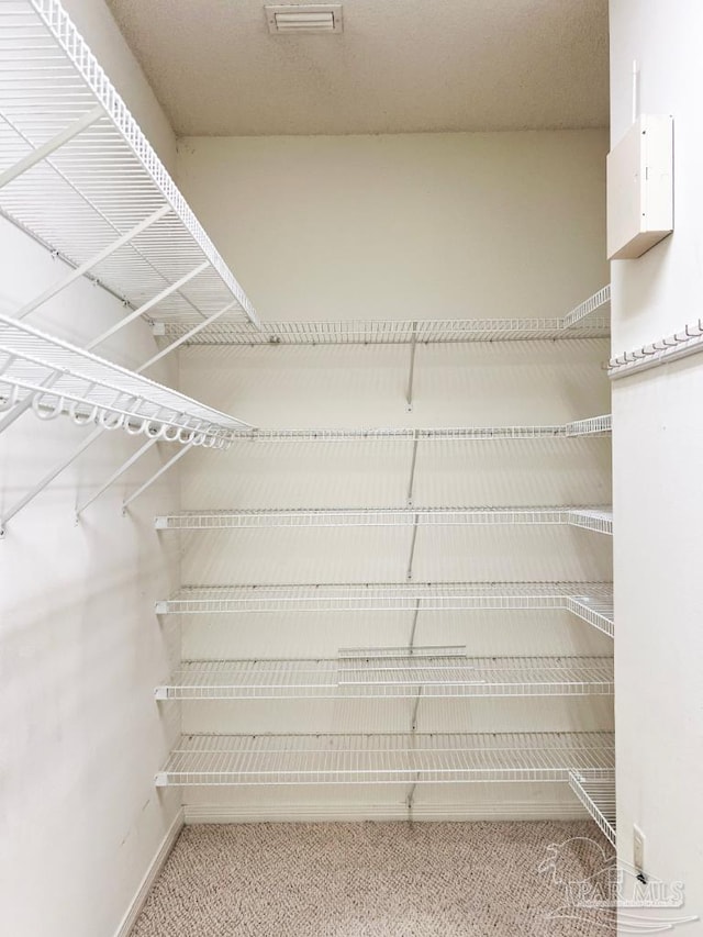 spacious closet with carpet