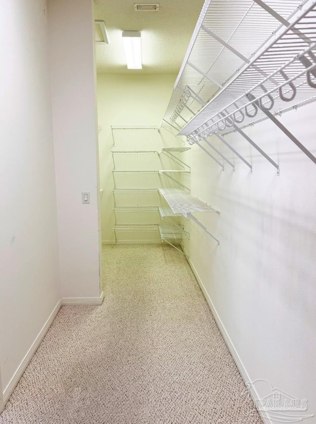 walk in closet with carpet floors