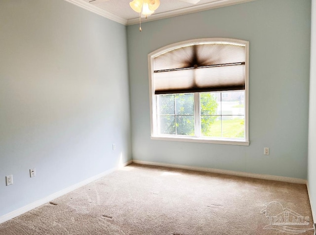 empty room featuring ceiling fan, ornamental molding, and carpet floors