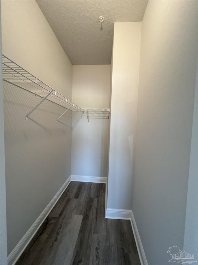 walk in closet featuring dark hardwood / wood-style flooring