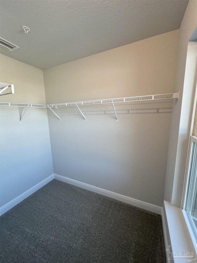 walk in closet with dark carpet