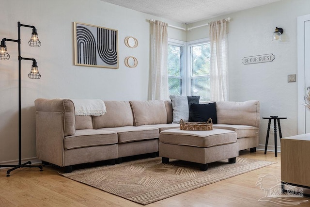 living room with a textured ceiling and hardwood / wood-style flooring