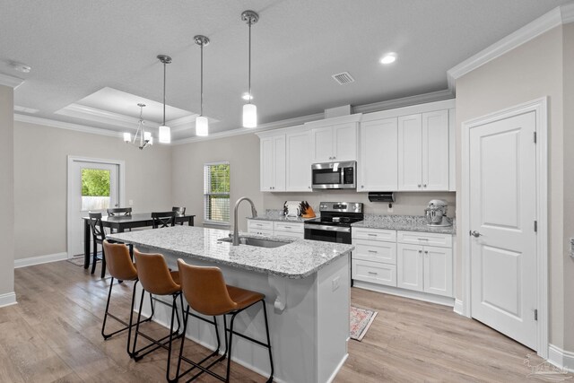 kitchen featuring stainless steel appliances, a sink, crown molding, a tray ceiling, and light wood-type flooring