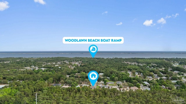 aerial view of a forest and a large body of water